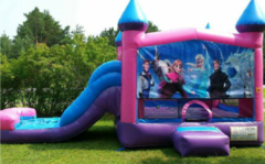 Themed Inflatables Themed Inflatables