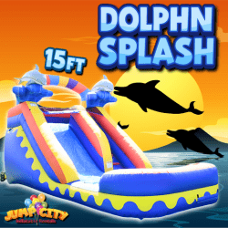 Dolphin Splash 15ft Water Slide