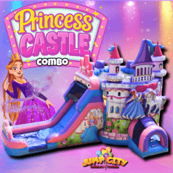B2 Princess Castle Wet/Dry Combo