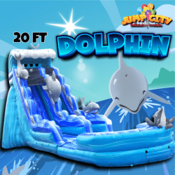 F5 20ft Dolphin Water Slide