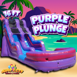 16ft Purple Plunge Water Slide