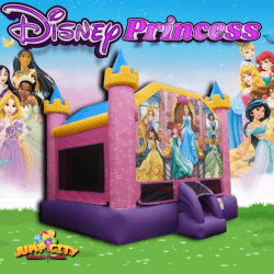 15 x 15 Disney Princess Bounce House