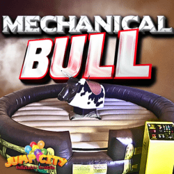 Mechanical Bull - 3 Hour Rental