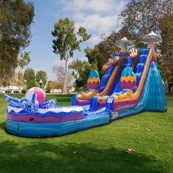 19ft20Pool20party20water20slide20rental202 1776546660 2 F8 20ft Pool Party Water Slide