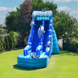 20ft20Dolphin20Inflatable 1776105317 F5 20ft Dolphin Water Slide