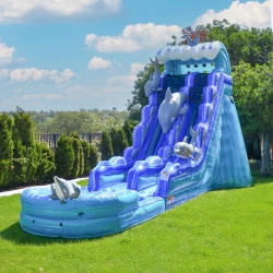 20ft20Dolphin20Water20Slide 1776105317 F5 20ft Dolphin Water Slide