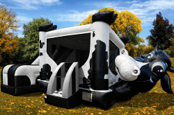 Cow20Inflatable20Bounce20house20rental 1776483272 C5 Cow Belly Bouncer with Slide