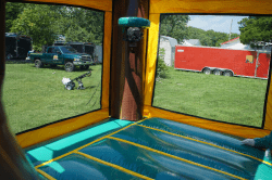 Dinosaur20Bounce20House20Rental 1776223432 A1 Jurassic Wet/Dry Combo