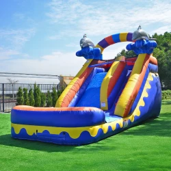 Dolphin20Splash20Rental 1776103004 Dolphin Splash 15ft Water Slide
