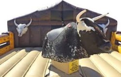 Mechanical20Bull20for20rent20Twin20Cities20MN 1776564009 Mechanical Bull - 3 Hour Rental