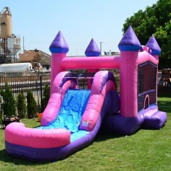 Pink20water20slide20bounce20house20rental20mn 1776571225 Pink and Purple Water Slide Combo With Pool