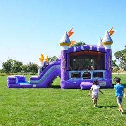 Thunder20Dual20Lane 1776470490 C10 or C11 Thunder Dual Lane Water Slide Combo with Pool