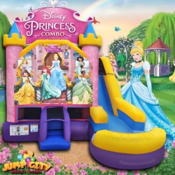 Disney Princess 6 in 1 Wet or Dry Combo