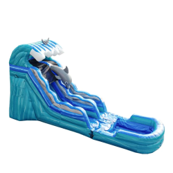 Dolphin2016ft20Water20Slide202 1782963313 Dolphin 16ft Water Slide