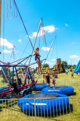 4A7A1147 1788293058 Executive Company Picnic & Festival - 400–750 Guests