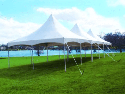 Graduation Open House Experience